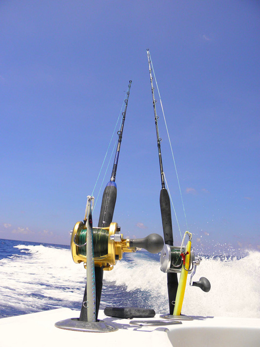 Vertical Jiggign rods Cancun